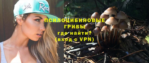 герыч Заводоуковск