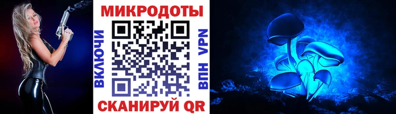 Купить где  Губаха  Галлюциногенные грибы Psilocybe 